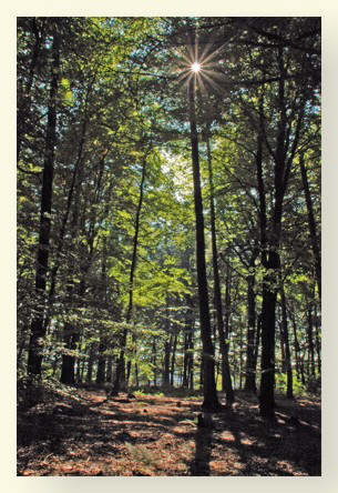 Foto20_S